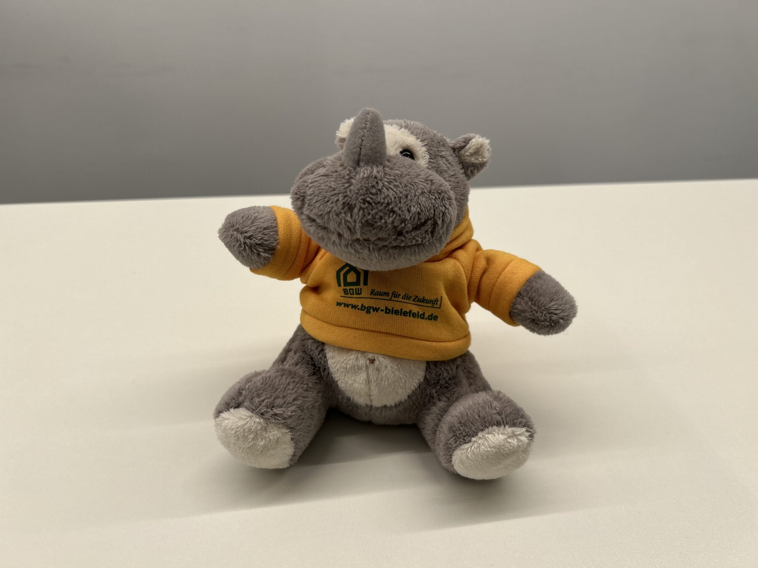 Tag 5_Nashorn_2