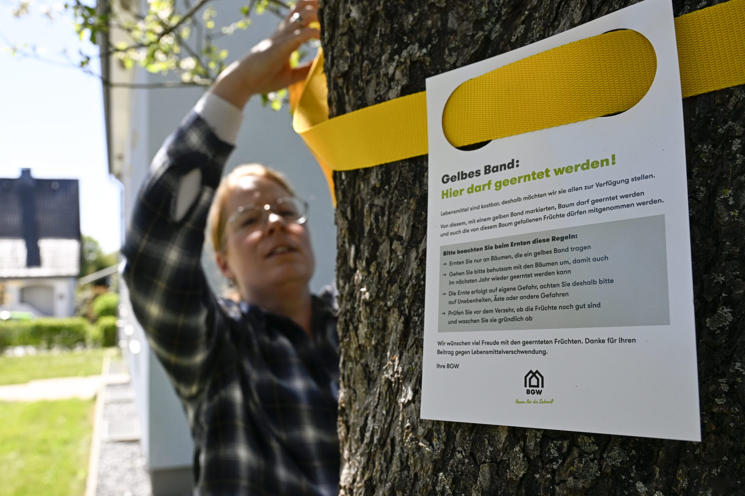 Bild_Baumaktion_BGWeb